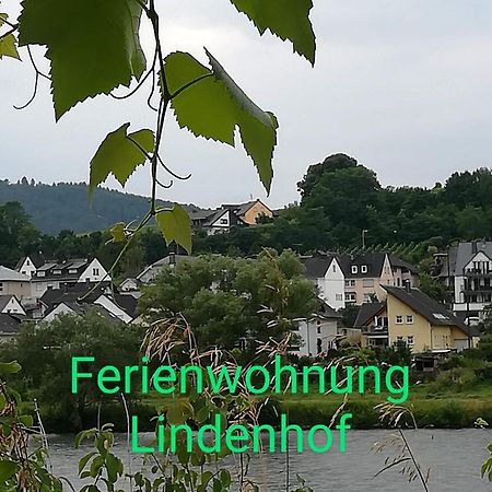 Die Ferienwohnung Lindenhof 摩泽尔河畔的泽尔 外观 照片