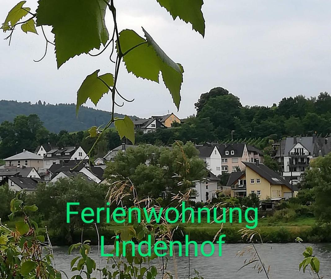 Die Ferienwohnung Lindenhof 摩泽尔河畔的泽尔 外观 照片