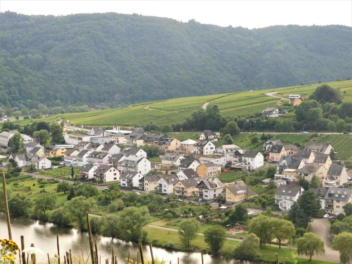 Die Ferienwohnung Lindenhof 摩泽尔河畔的泽尔 外观 照片